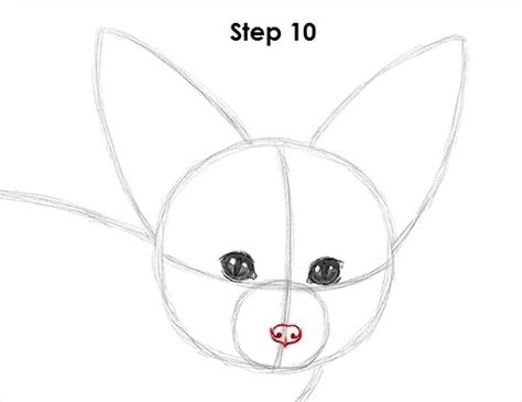 How to Draw a Fennec Fox