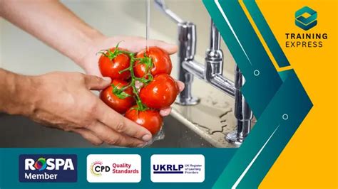 Online Kitchen Porter Training - CPD Certified Course | Reed.co.uk