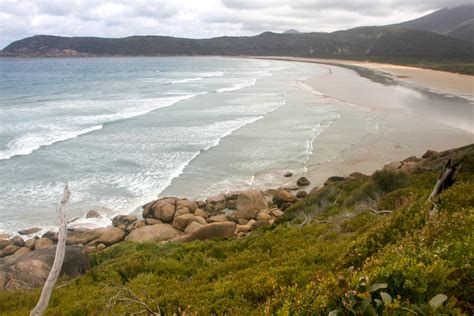 A bushwalking guide to Wilsons Promontory National Park | Hiking the World