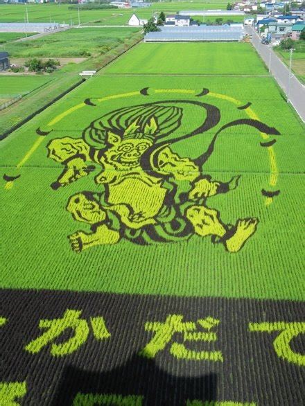 The Amazing Rice Paddy Art of Japan | Amusing Planet