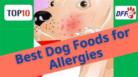 Top10 Best Dog Foods for Allergies(Reviews) Buying Guide 2021# ...