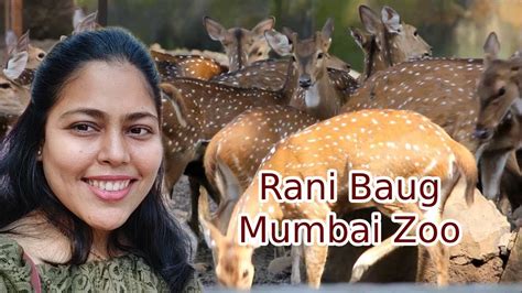 Ranichi Baug | Mumbai Zoo | Ranichi baug Penguin | Rani baug in mumbai 2020 | Rani baug byculla ...