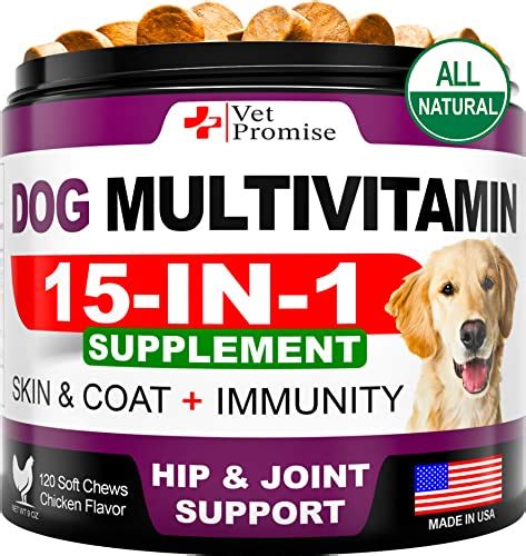 Best Dog Multivitamins: What to Look for and How to Choose