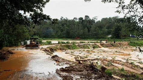 Kodagu floods: Karnataka's coffee-growing region stares at heavy losses after rains, landslides ...