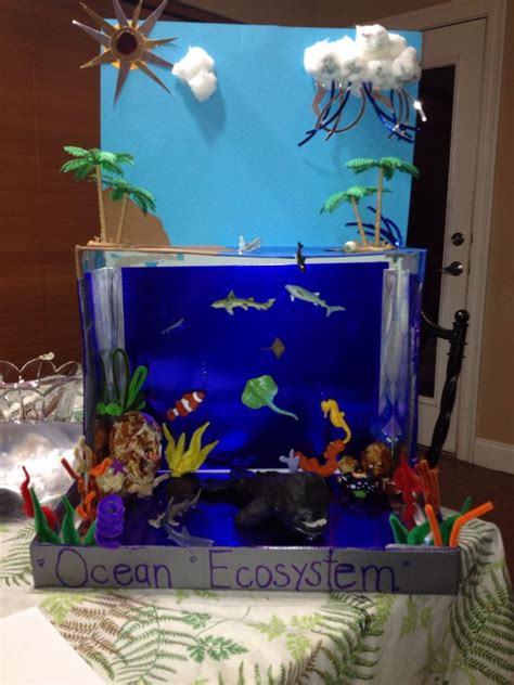 Ocean Ecosystem | Ecosystems projects, Ocean projects, Biomes project