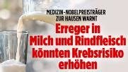 Der Tag bei BILD.de - Schlagzeilen und Bilder des Tages - News - Bild.de