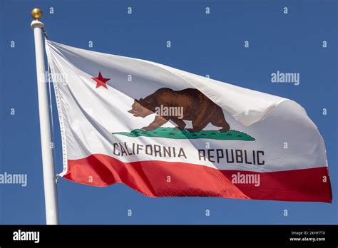 california flag with the bear as symbol for California, USA Stock Photo ...