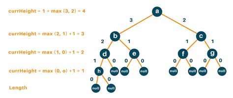 Hướng dẫn find height binary tree python - tìm chiều cao cây nhị phân ...