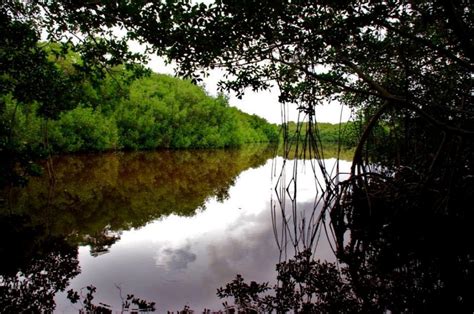 A Day in the Everglades – Everglades National Park – Homestead, Florida ...