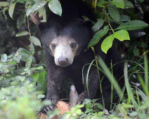 Wildlife Release Station Tours « Wildlife Watching « Cambodia