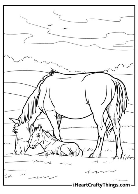 Coloring Pages Of A Horse