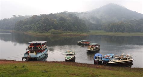 Popular Tourist Destination in Thekkady, Periyar National Park, Tiger Trail