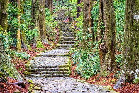 7 of the Best Hikes in Japan for an Active 2024 Trip