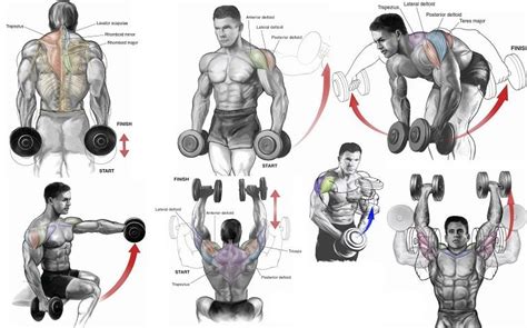 Top 6 Dumbbell Exercises for Shoulders | Shoulder dumbbell workout ...