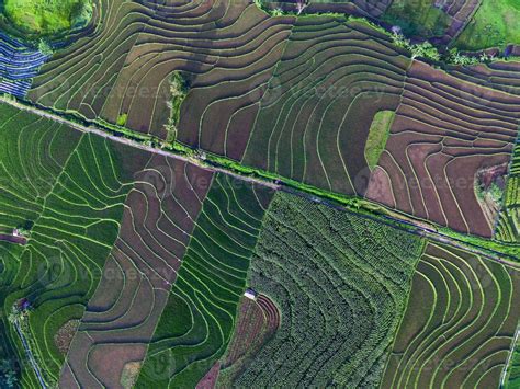 Aerial view of green rice terraces in Indonesia 21588867 Stock Photo at Vecteezy