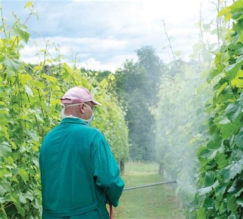 How Organic Insecticides Can Be Important Tools for Conventional Growers