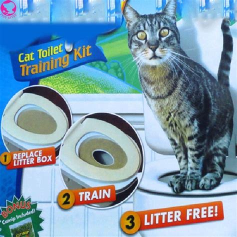 Learn Cat Toilet Training Kit – TRENDY DEALS | Cat toilet training, Cat ...