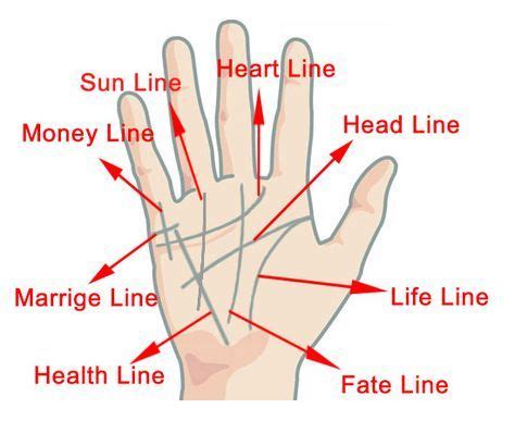 Palm Reading – Chinese Palmistry Guide & Basics of Hand Reading to Tell Fortune | Palm reading ...