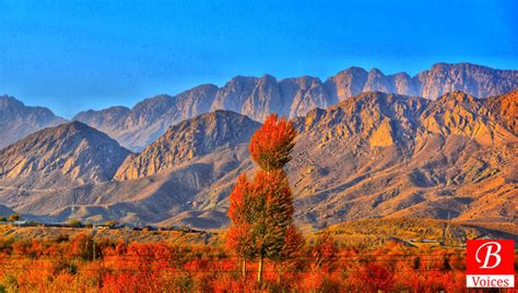 Ziarat: From Green to a Dry Land | Balochistan Voices