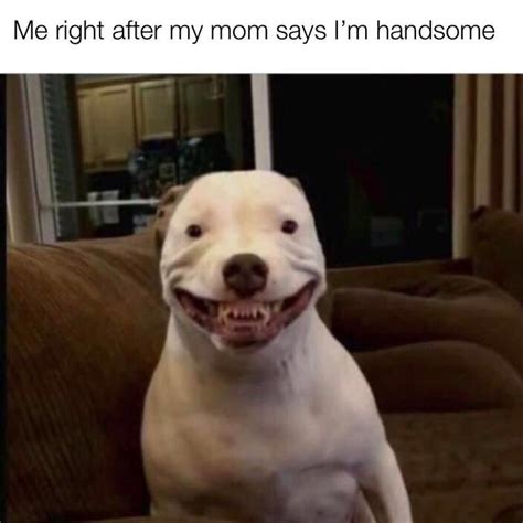 Let's keep that smile! | r/wholesomememes | Wholesome Memes | Know Your ...