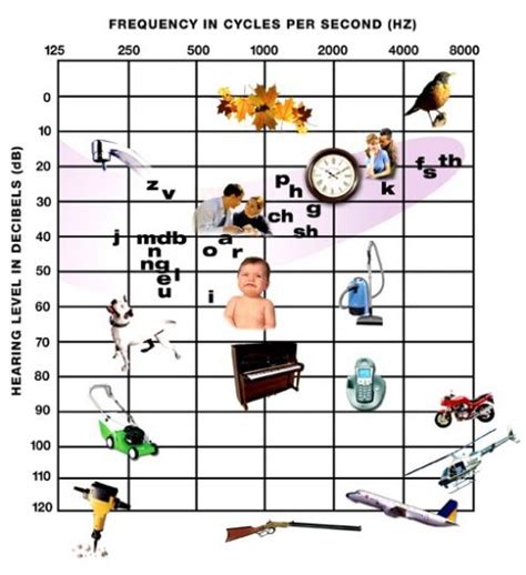 Types of Deafness - Ears & Hearing UK