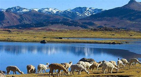 Regiones naturales del Perú: La Sierra, características, ubicación | El ...