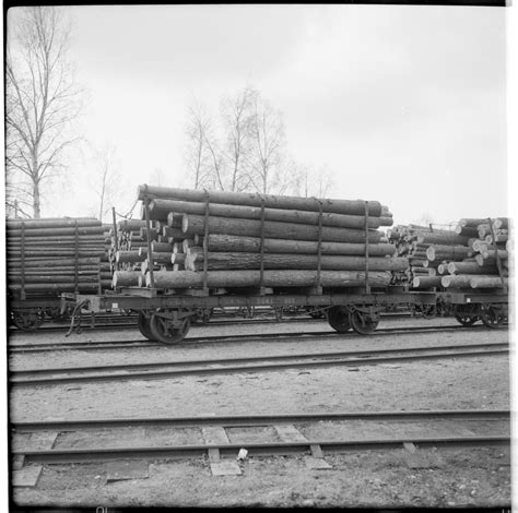 Dala - Ockelbo - Norrsundet Järnväg, DONJ 603 timmer godsvagn. - Järnvägsmuseet / DigitaltMuseum