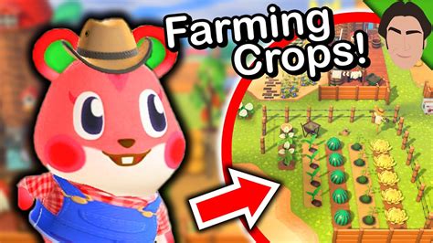 NEW Farm Design Ideas for Animal Crossing New Horizons! - YouTube