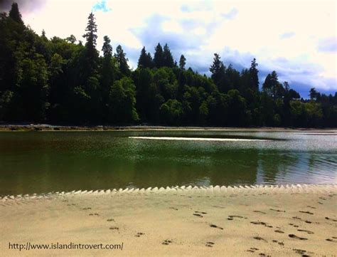 Best Beaches on Vancouver Island