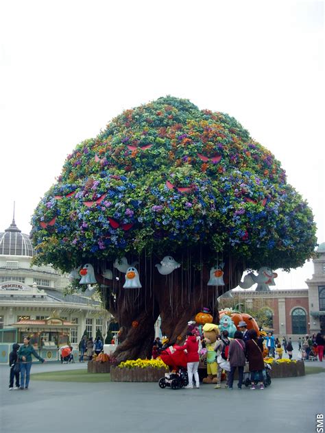 A review of Everland Amusement Park, Yongin, Gyeonggi-do - Day 5 in South Korea | The Chronicles ...