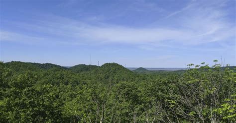 From the Woods Today - Knobs Region of Kentucky | Forestry and Natural ...