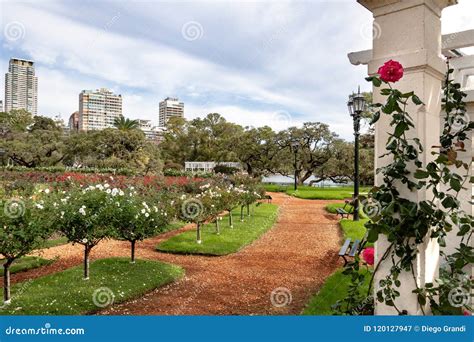 El Rosedal Rose Park at Bosques De Palermo - Buenos Aires, Argentina ...