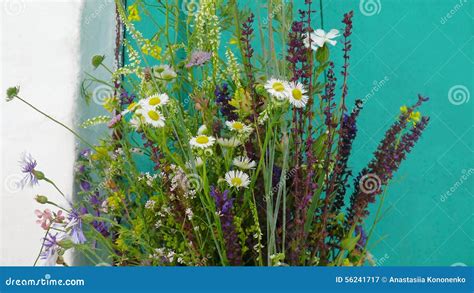 Summer Bouquet of Wildflowers Stock Image - Image of bright, summer: 56241717