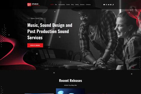 Music Producer Website Design - MotoCMS