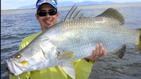 Giant Barramundi Fishing in Burdekin River Queensland Australia - YouTube