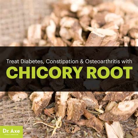 Chicory Root: The Coffee Substitute that Treats Diabetes, Constipation ...