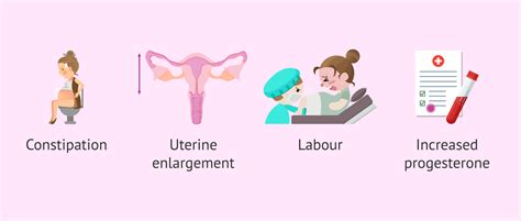 Causes of haemorrhoids in pregnancy