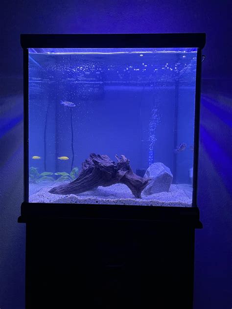 30 gallon fresh setup. What else should I add? : r/Aquariums