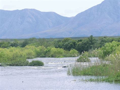 Bontebok National Park | Wildlife, Fynbos & Conservation | Britannica