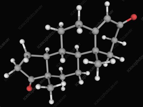 Androstenedione hormone molecule - Stock Image - F004/5533 - Science ...