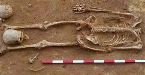 Unearthing the Past: 450 Headless 'Vampire' Skeletons Discovered in ...