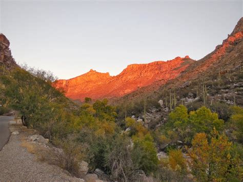 Exploring the American West: Sabino Canyon Sabino Canyon Recreation ...