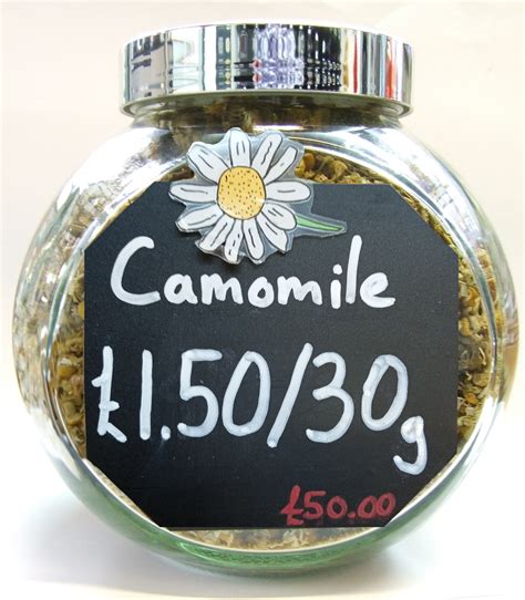 Camomile