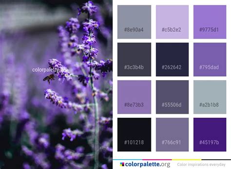 Lavender Purple Plant Color Palette | colorpalette.org