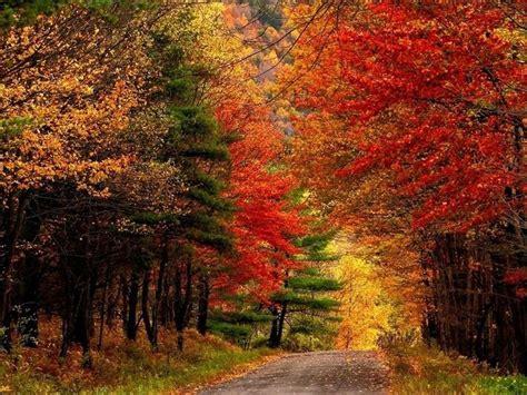 Upstate NY fall foliage: Unique ways to see fall's annual spectacle ...