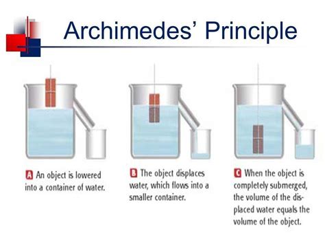 Lab 10 Archimedes Principle P201 Worksheet