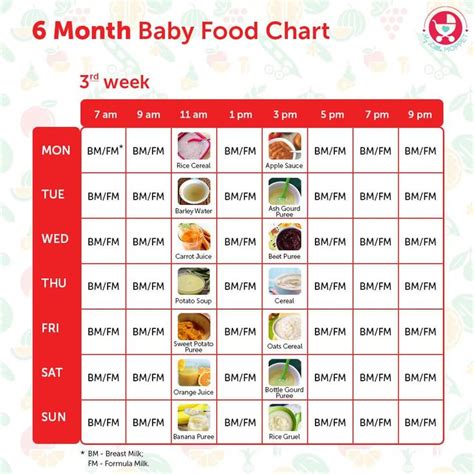 6 Months Baby Food Chart - with Detailed Delicious Indian Recipes | Baby food chart, Baby food ...