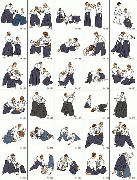 Aikido, Kendo