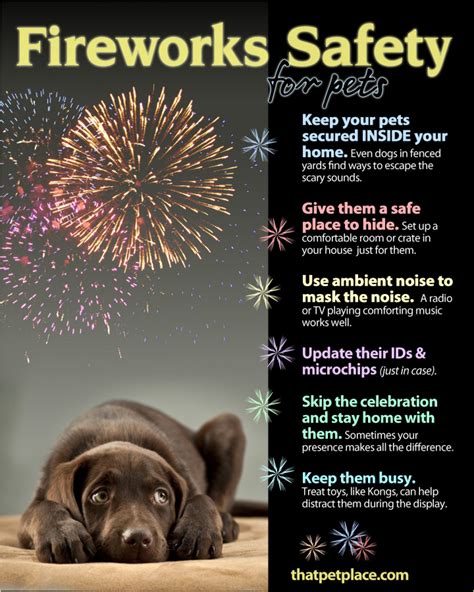 TIPS: Fireworks & Pets - Holiday Park VFD