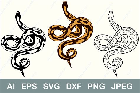 Snake svg, Ball python svg silhouette, Snake clipart By Ananas | TheHungryJPEG